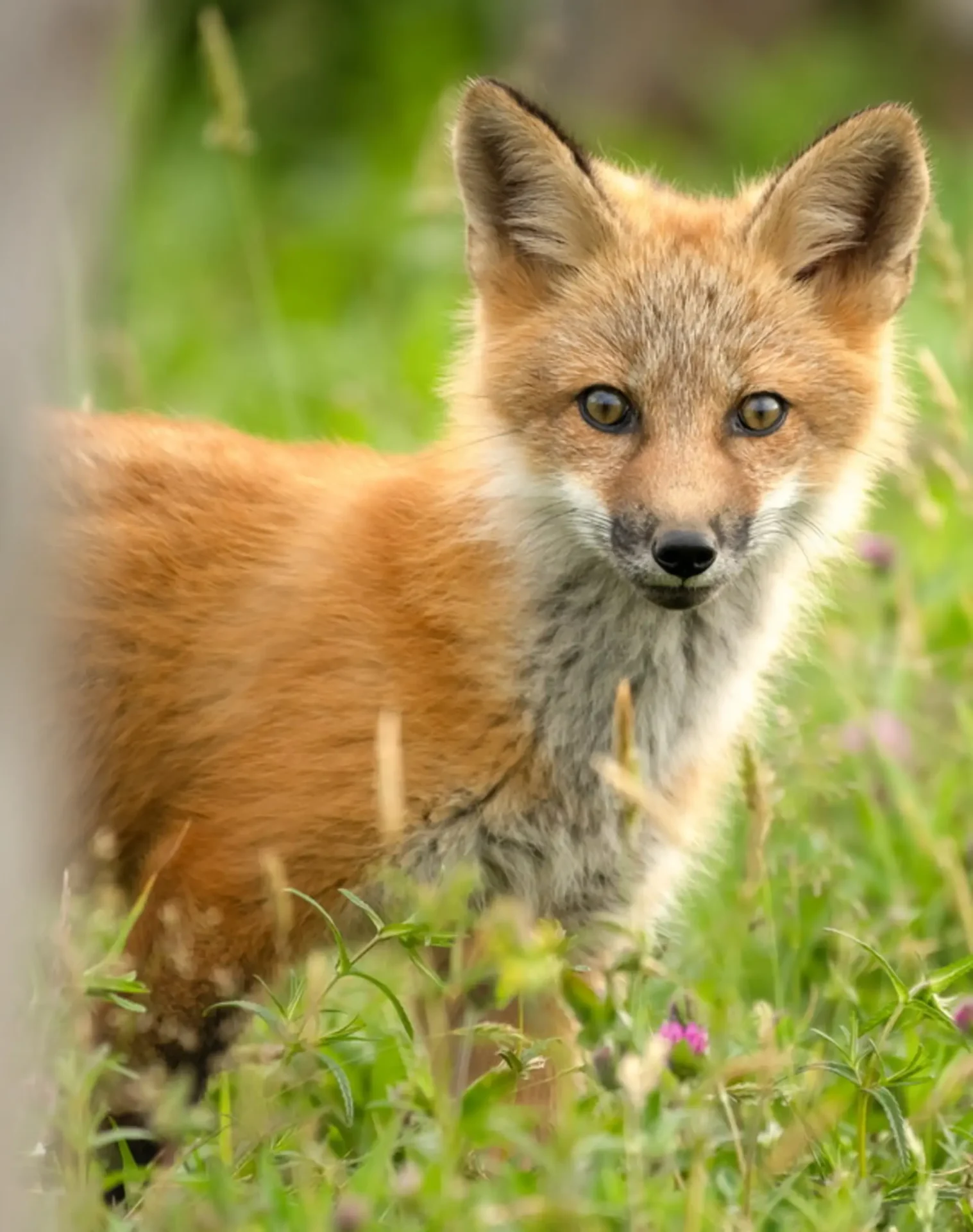 DSC_2189-copy_resize